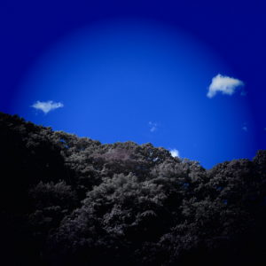 射手座と相性がいいのは、風星座、ふたご、てんびん、みずがめ座