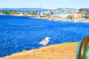 12月12日 射手座の「生命のフリーズ」　ムンクはノルウエーの誇りです。