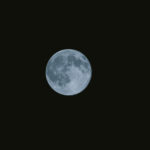 11月27日 武道家としての射手座、アチョー