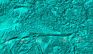 12月13日　テイラースウィフトを見てたら元気が出た。