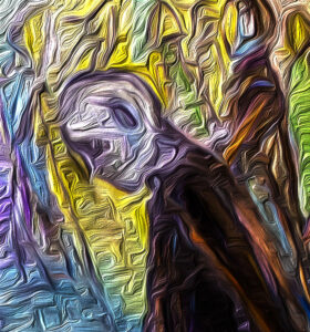 デズニーは伝説なのか。12月5日