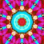 12月10日 坂本九は偉大なマルチタスクエンターテイナー