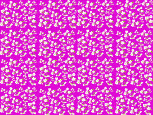 松平健と里見浩太郎は生年月日が同じ射手座、11月28日